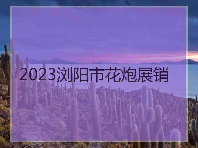 2023浏阳市花炮展销