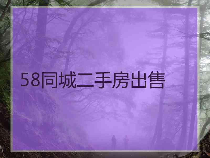 58同城二手房出售