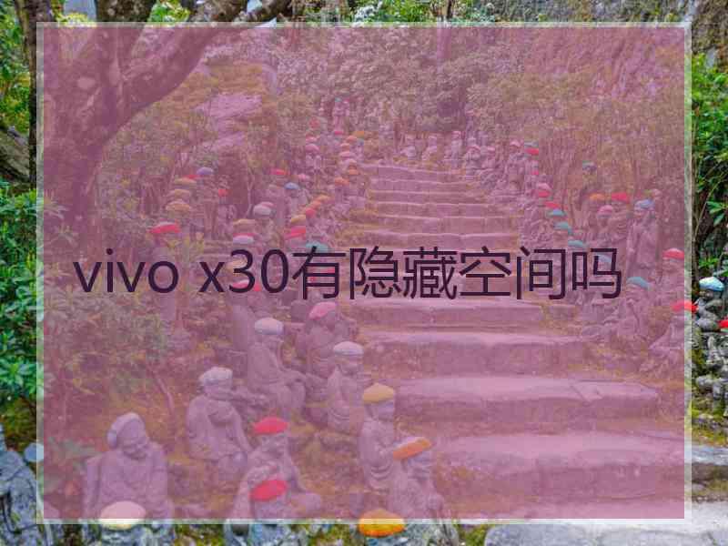 vivo x30有隐藏空间吗