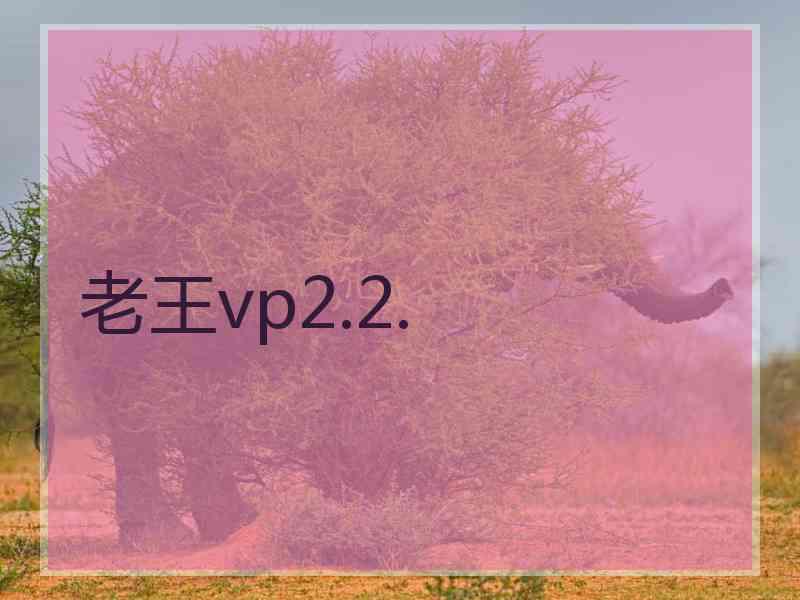 老王vp2.2.