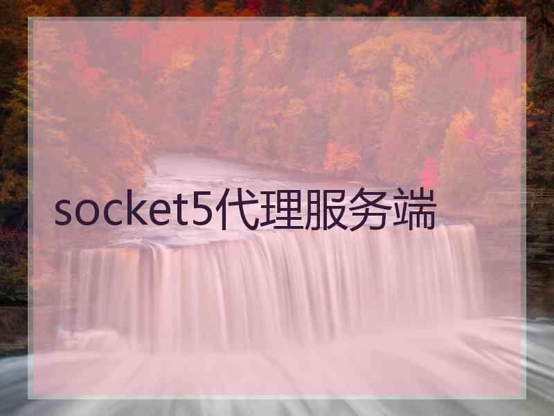 socket5代理服务端