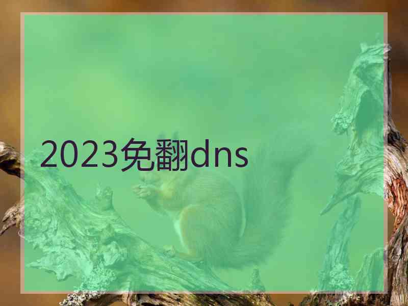 2023免翻dns