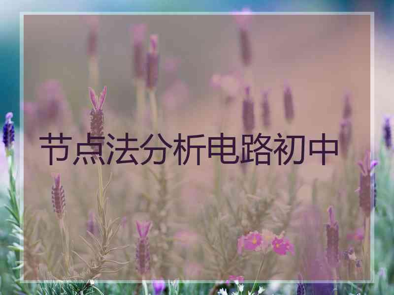 节点法分析电路初中