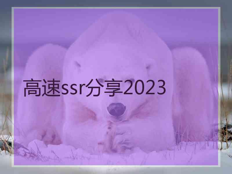 高速ssr分享2023