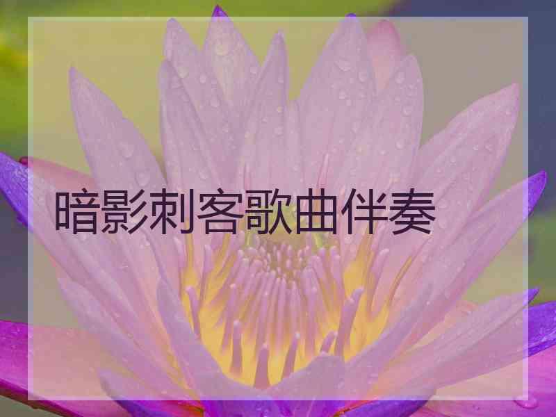 暗影刺客歌曲伴奏