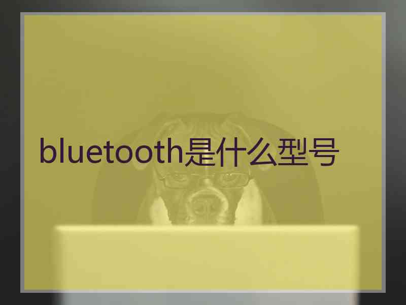 bluetooth是什么型号