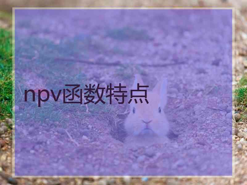 npv函数特点