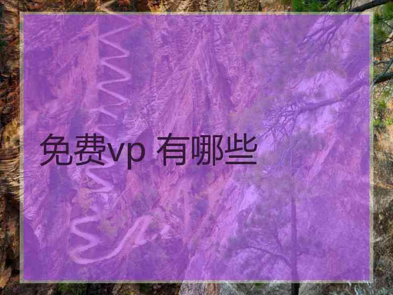 免费vp 有哪些