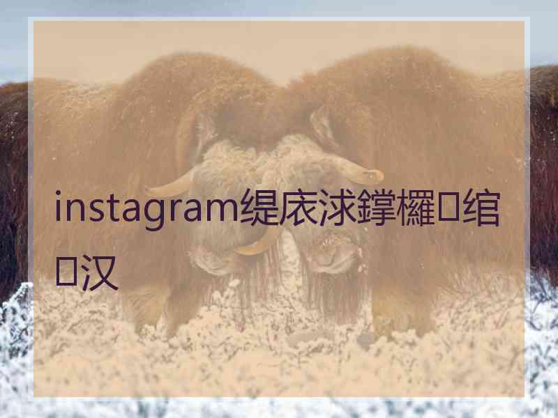 instagram缇庡浗鐣欏绾汉