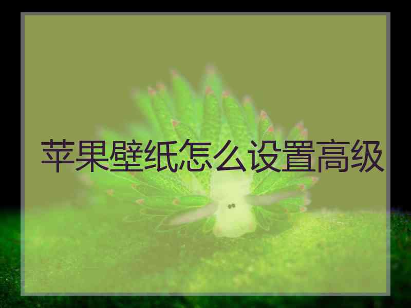 苹果壁纸怎么设置高级