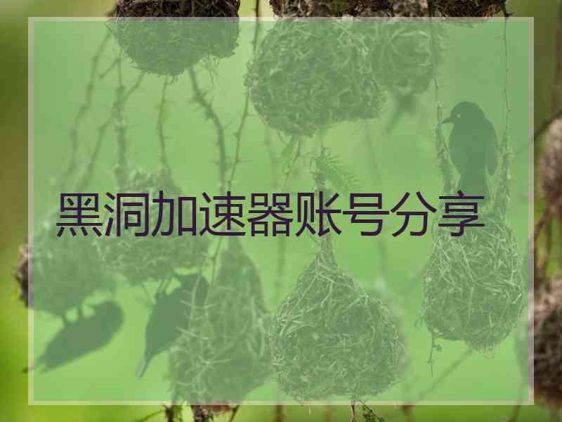 黑洞加速器账号分享