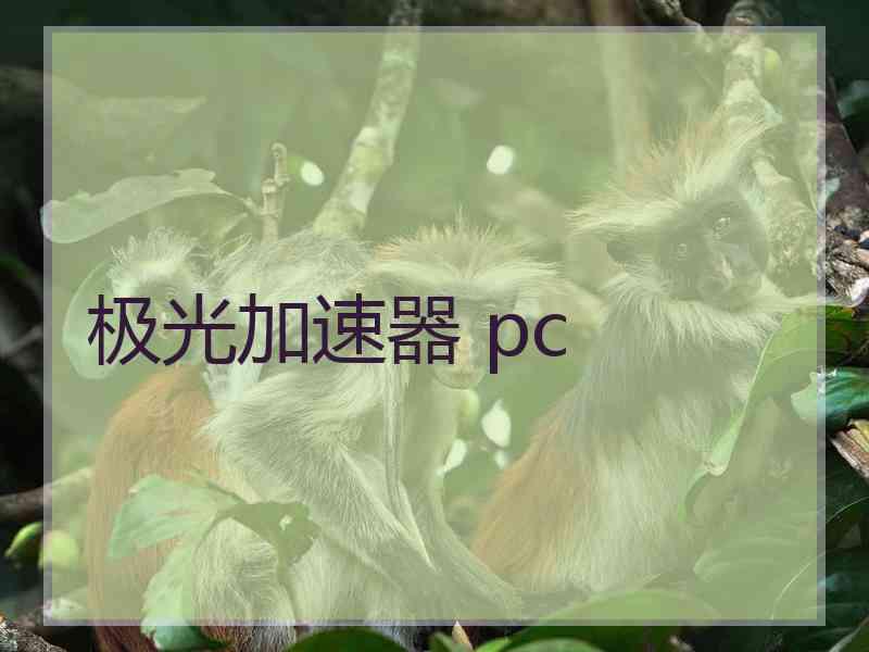 极光加速器 pc