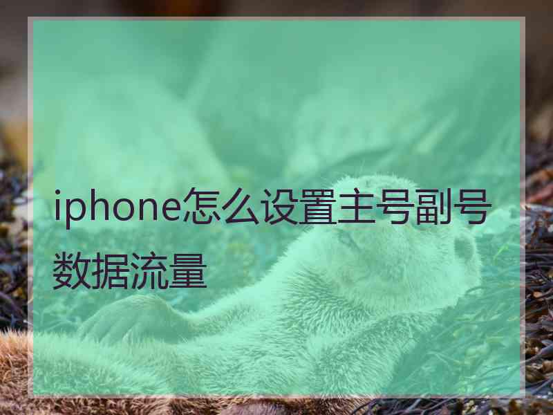 iphone怎么设置主号副号数据流量