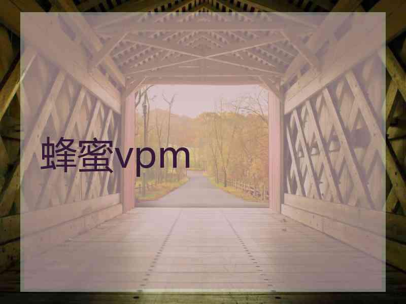 蜂蜜vpm