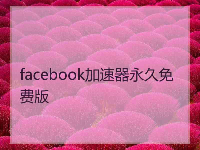 facebook加速器永久免费版