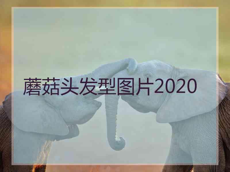 蘑菇头发型图片2020