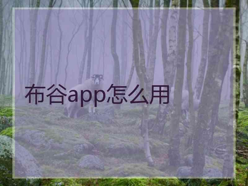 布谷app怎么用