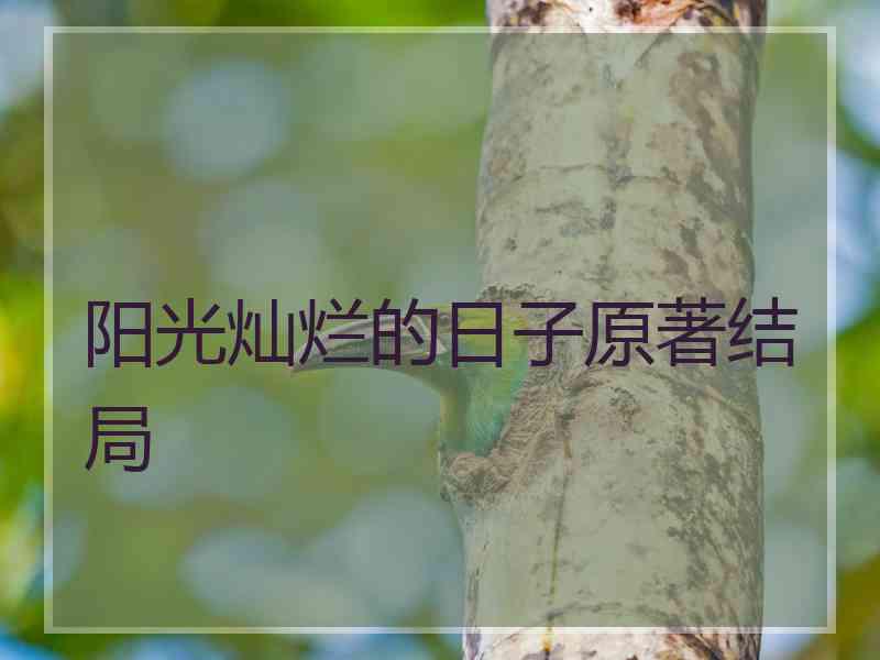 阳光灿烂的日子原著结局