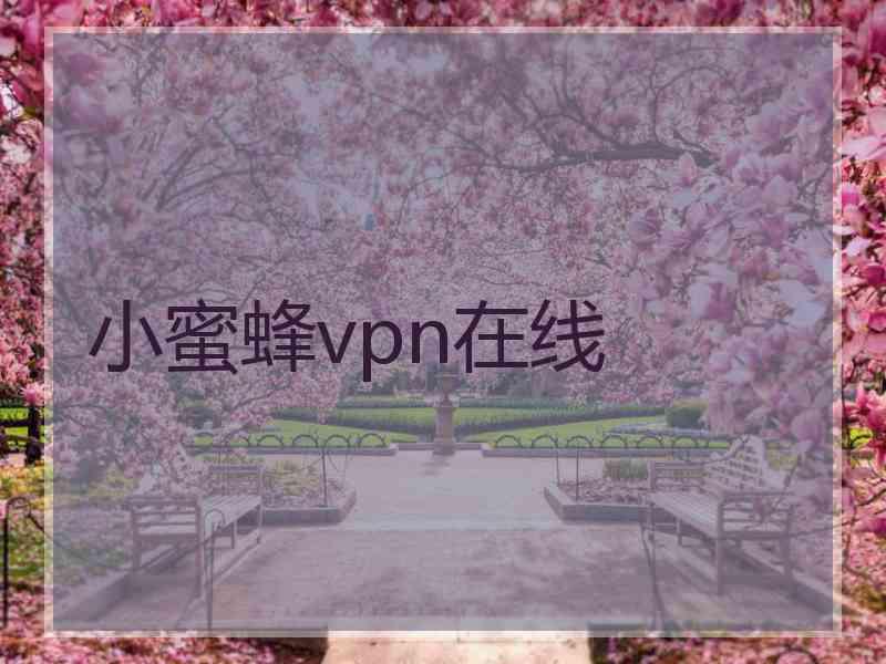 小蜜蜂vpn在线