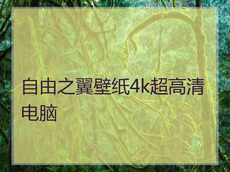 自由之翼壁纸4k超高清电脑