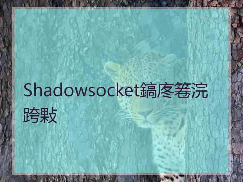 Shadowsocket鎬庝箞浣跨敤