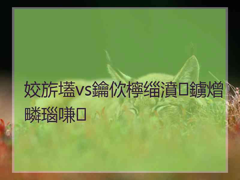 姣旂壒vs鑰佽檸缁濆鐪熷疄瑙嗛