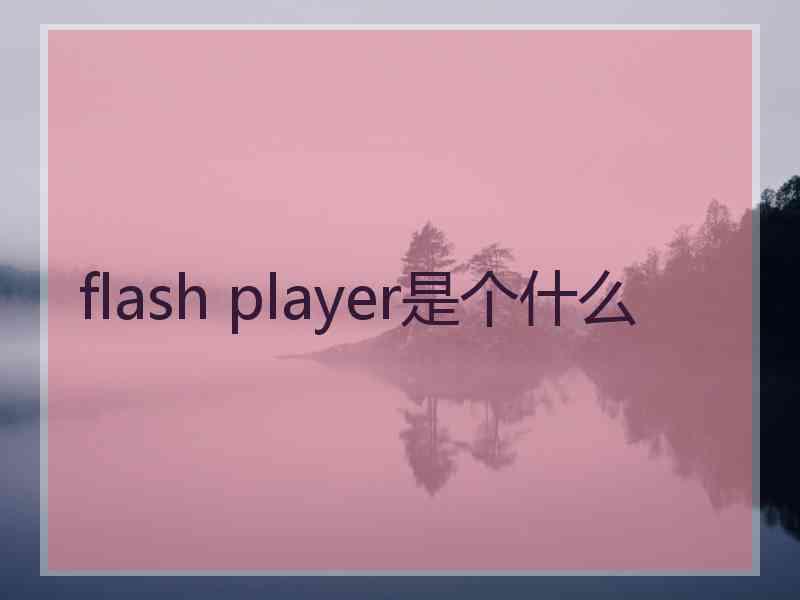 flash player是个什么