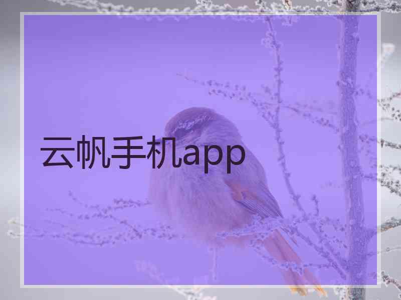 云帆手机app