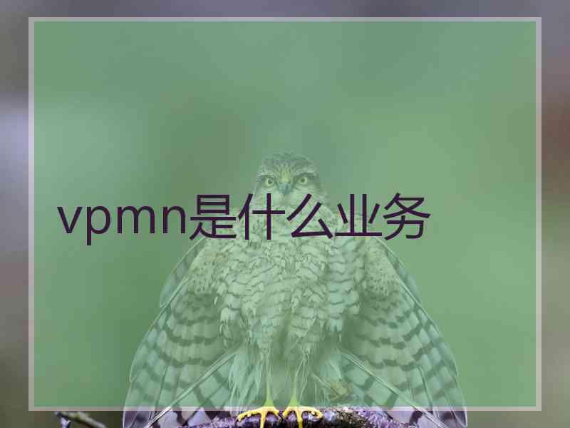 vpmn是什么业务