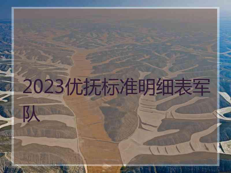 2023优抚标准明细表军队