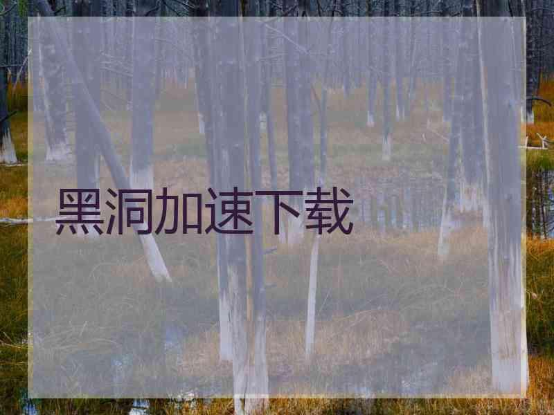 黑洞加速下载