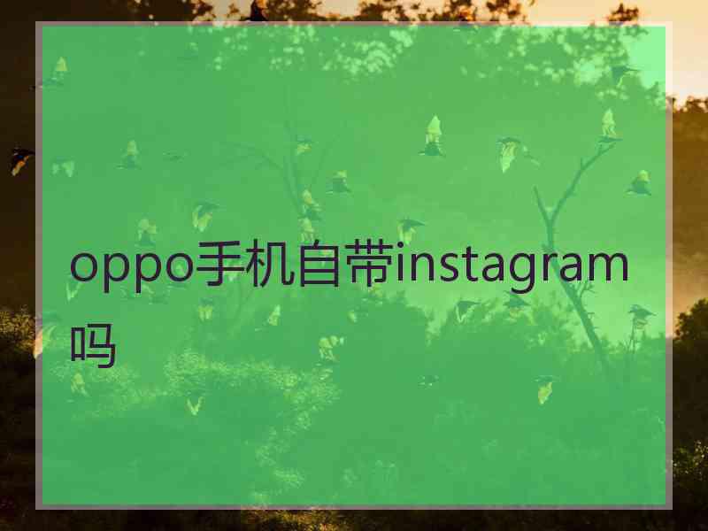 oppo手机自带instagram吗