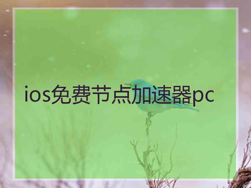 ios免费节点加速器pc