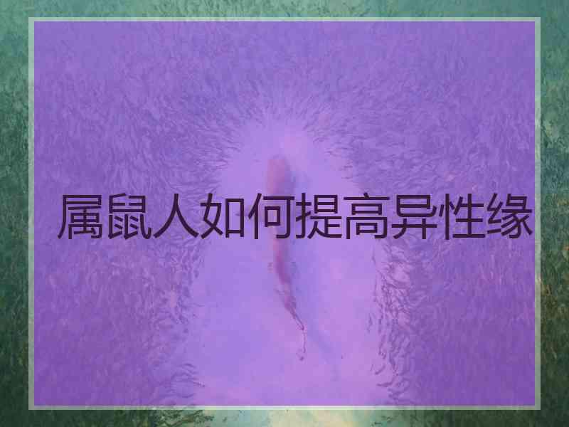 属鼠人如何提高异性缘