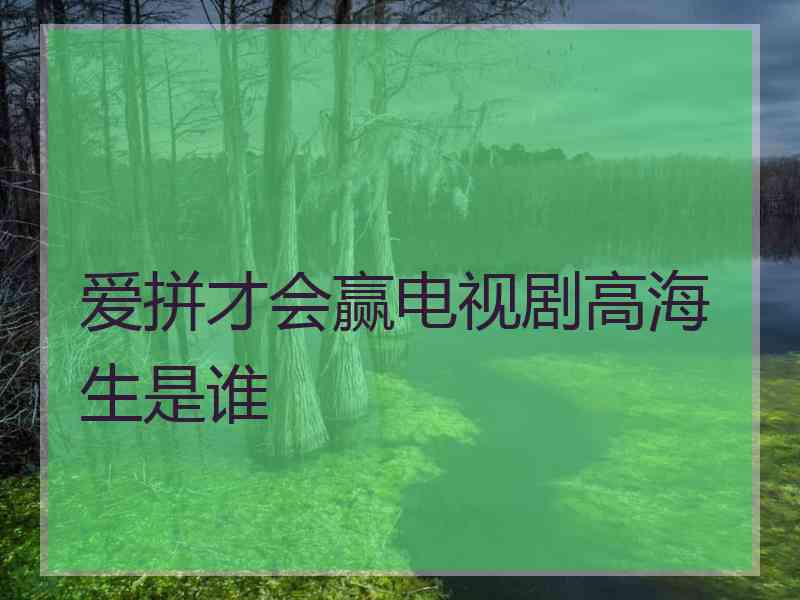 爱拼才会赢电视剧高海生是谁