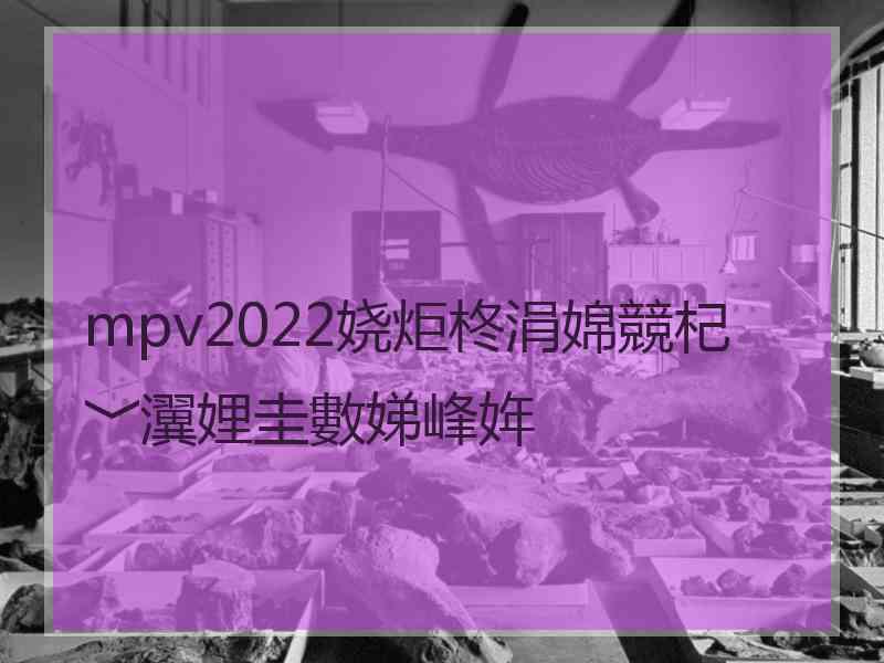 mpv2022娆炬柊涓婂競杞﹀瀷娌圭數娣峰姩