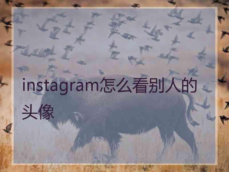 instagram怎么看别人的头像