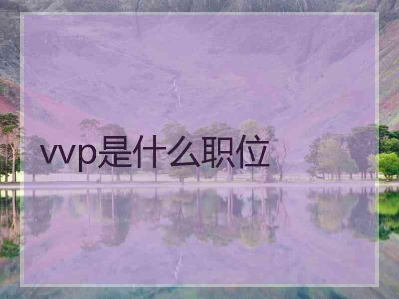 vvp是什么职位