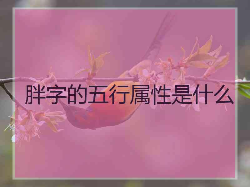 胖字的五行属性是什么