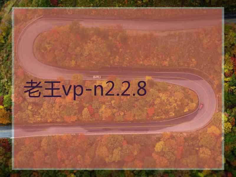 老王vp-n2.2.8