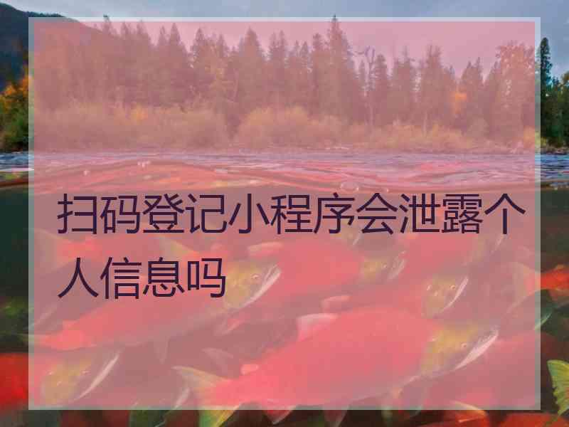 扫码登记小程序会泄露个人信息吗