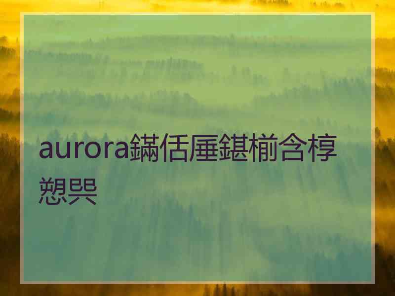 aurora鏋佸厜鍖椾含椁愬巺