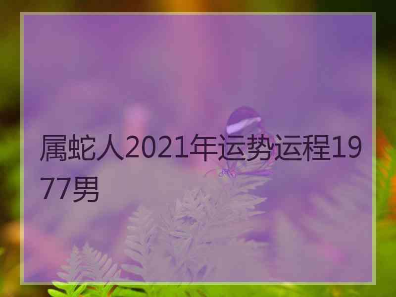 属蛇人2021年运势运程1977男