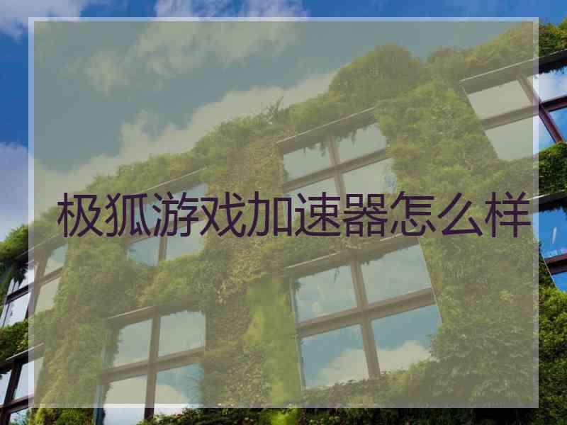 极狐游戏加速器怎么样