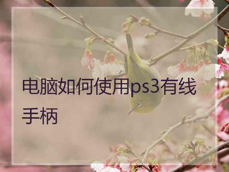 电脑如何使用ps3有线手柄