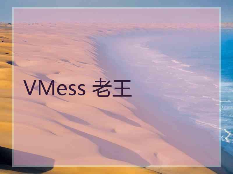 VMess 老王