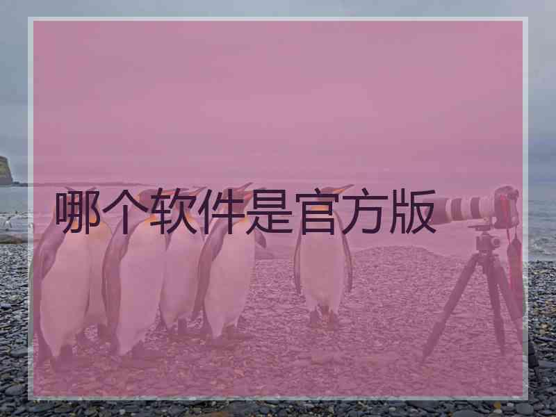 哪个软件是官方版