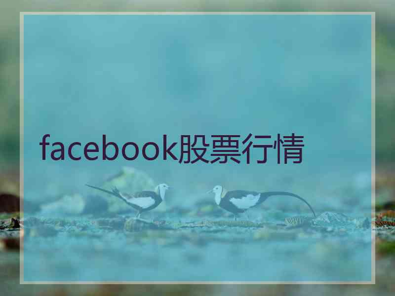 facebook股票行情