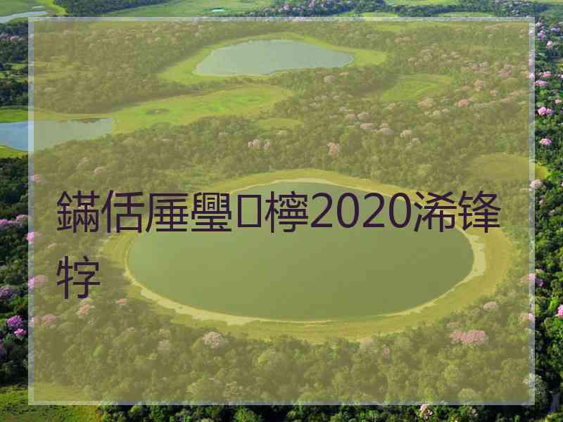 鏋佸厜璺檸2020浠锋牸