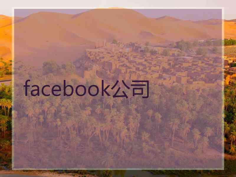 facebook公司